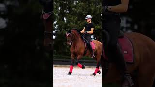 Matt Harnacke and his new bay stallion progress and memories credit Matt Harnacke [upl. by Levona2]