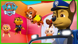 Skye and Chase rescue the Kitties in the Bouncy Castle  PAW Patrol Cartoons for Kids Compilation [upl. by Couchman]