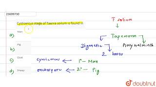 Cysticercus stage of taenia soilum is found in [upl. by Norit]