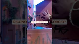 Video 🎥 destinazioneovunque📍Bologna Italia [upl. by Eralcyram588]