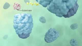 Active Cage Mechanism of ChaperoninAssisted Protein Folding Demonstrated at SingleMolecule Level [upl. by Adnamaa422]