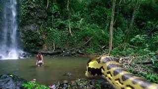 Snake in Hiding  Snakes in the City  हिन्दी  Nat Geo Wild [upl. by Astera]