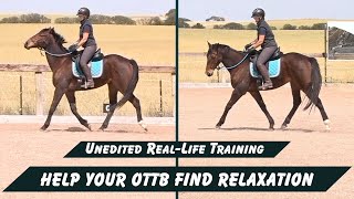 Helping Your OTTB Horse To Find Relaxation Under Saddle [upl. by Iruahs978]