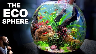 NO FILTER Ecosphere Bowl for Nano Fish Shrimp amp Snails [upl. by Pickar]