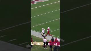 Haener to Perry for 58 yards WhoDat NFL [upl. by Suired]