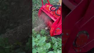 Skid Steer Attachment Forestry Mulcher [upl. by Rame173]