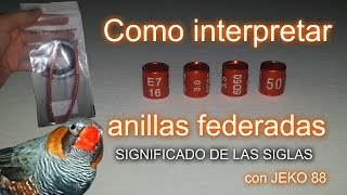 COMO INTERPRETAR UNA ANILLA FEDERADA [upl. by Alyat]