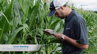 Timac Agro USA Employee Testimonials [upl. by Labana189]