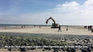 BaumMaßnahmen auf Wangerooge [upl. by Sherlock]