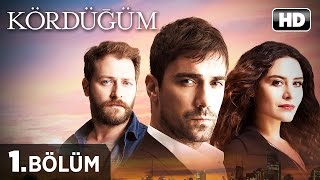 Kördüğüm Dizisi  Kördüğüm 1 Bölüm İzle [upl. by Eilema]