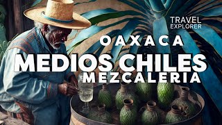 La Ruta del Mezcal A MEDIOS CHILES en Etla Oaxaca México [upl. by Oralie103]