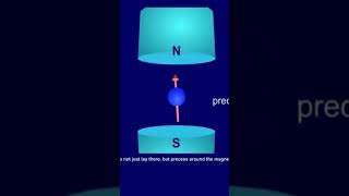 Unlocking The Secrets Of Proton Larmor Precession As A Vector [upl. by Hannad]