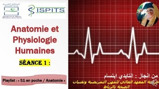 Séance 1  Anatomie et physiologie humaines  S1 en poche 😉💪 [upl. by Allekim]