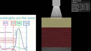 Understanding the Physics of Laser Therapy for Treating Humans and Animals [upl. by Oir]