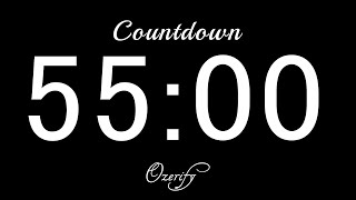 55 Minute Timer and Alarm  Countdown ⏰ timer countdown [upl. by Ahsekat]