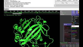 Pymol tutorial active site and metal binding of HCAII [upl. by Atiugal158]