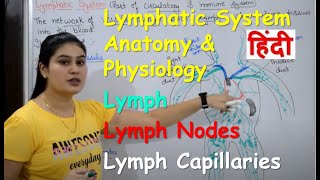 Lymphatic System in Hindi  Lymph  Lymph Nodes  Lymph Vessels  Anatomy amp Physiology [upl. by Yesor]