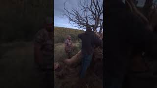 Mescalero Apache package Bull Elk hunt September 13 2023 loading up the Bull Elk [upl. by Kaazi]