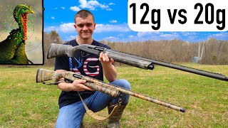 Turkey Hunting 12 Gauge vs 20 Gauge Shotgun [upl. by Ardie]