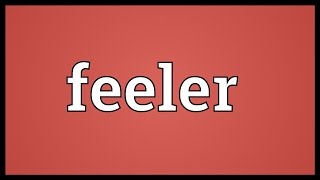 Feeler Meaning [upl. by Ydal491]