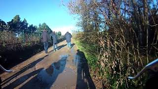 Fishermans crossing Formby woods November 2017 [upl. by Pippy]