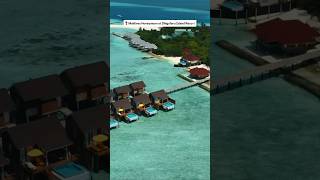 Dhigufaru island Resort Maldives dhigufaru visitmaldives [upl. by Attayek]