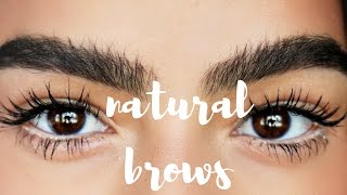 HOW TO NATURAL BROWS  My Eyebrow Routine [upl. by Aihc289]