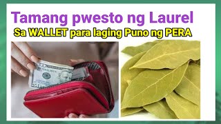 DAHON ng LAUREL pampaswerte sa WALLET at PANG HAKOT ng PERA  Inday8 Buhay Probinsya [upl. by Hayikat439]