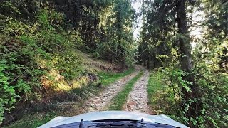 Himalayan Forest Road through Apple Orchards  A Drive to Saroga and Bankoti 4K  TurnbyTurn 8 [upl. by Adlez801]