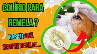 COMO ACABAR COM REMELA NOS OLHOS DO CACHORRO SECREÇÃO AMARELA ESVERDEADA OLHO DO CÃO MELHOR COLÍRIO [upl. by Willard]