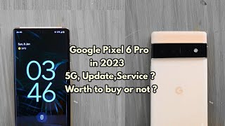 Google Pixel 6 Pro in 2023   Detailed Review  Global Unit In India experience  Worth or Not [upl. by Ejroj]