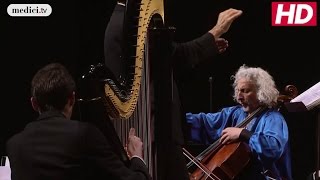 Mischa Maisky  The Swan Carnaval des Animaux  SaintSaëns [upl. by Applegate]