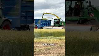 John Deere Chopper on Rye harvest2024 [upl. by Annavas705]