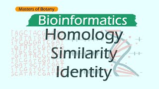 Homology Similarity and Identity  Bioinformatics [upl. by Nitsyrk]