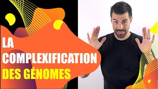 COURS DE TERMINALE SPÉCIALITÉ SVT  CHAP3 LA COMPLEXIFICATION DES GÉNOMES Bio Logique [upl. by Akeenahs]