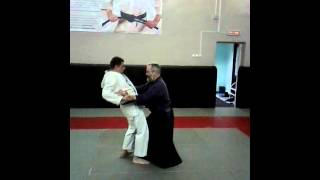 Sanchin Kata Bunkai [upl. by Roter]