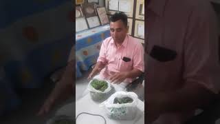 Azolla  DrumsticksBajra and others interview by Progressive Farmer Shri Rawal ji Panchariya [upl. by Mlawsky]