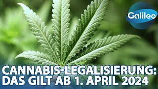 quotGalileoquot erklärt was du über die CannabisLegalisierung ab dem 1 April 2024 wissen solltest [upl. by Tamanaha190]