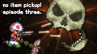 Trying to beat Terraria FTW without picking up items Skeletron edition [upl. by Edlin]