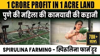 Spirulina Farming in Hindi  How to Start Spirulina Farming  Spirulina Farming Tips  ffreedomapp [upl. by Sonya]