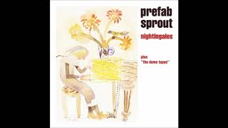 Prefab Sprout Nightingales 12 inch cover instrumental [upl. by Ynobe990]