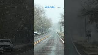 Winter has arrived in Colorado shorts winter [upl. by Caffrey602]