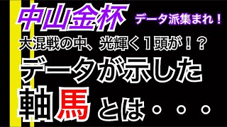 【中山金杯】データが示した軸馬とは！？ [upl. by Imac]