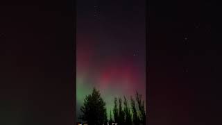 Geomagnetic Storm G4 Aurora Borealis Goodwood Ontario Oct 10 2024 timelapse canada shorts [upl. by Aennil]