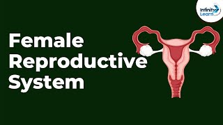 Female Reproductive System  Infinity Learn NEET [upl. by Marylynne]