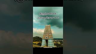 Arupadai veedu old names arupadaiveedu murugan thiruchendur thiruthani palani mayil kanchi [upl. by Heber22]