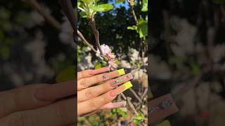 Nail DAY 💚✨ nails asmr [upl. by Verna347]