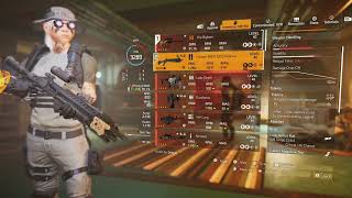 The Division 2 Big Horn Headshot Build Armor amp Health [upl. by Calendra]