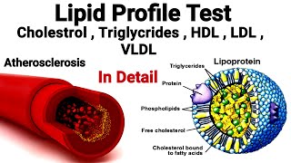 What is Cholesterol Understanding Cholesterol Part 1 [upl. by Seward615]