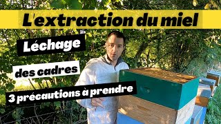 Comment faire lécher les cadres de hausses après lextraction  3 précautions à prendre [upl. by Avonasac]